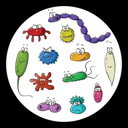 insectes, microscope, la boue, le virus Dedmazay - Dreamstime