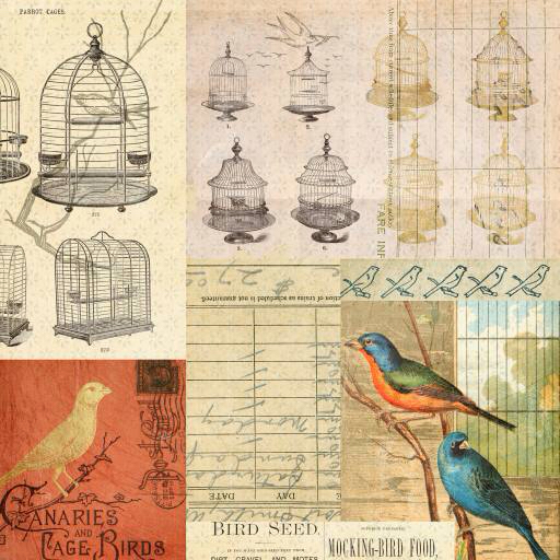 cage, oiseau, oiseaux, dessin Jodielee