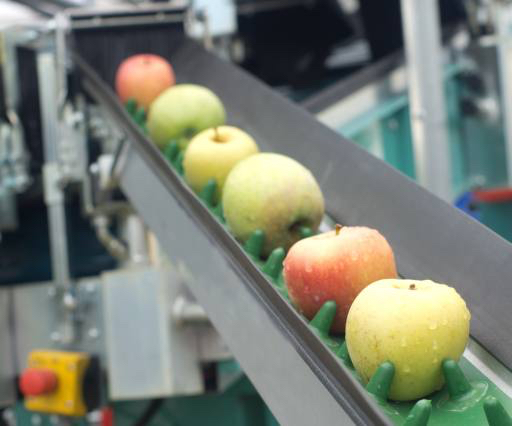 des pommes, de la nourriture, machine, usine Jevtic