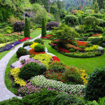 jardin, fleurs, couleurs, vert Photo168 - Dreamstime