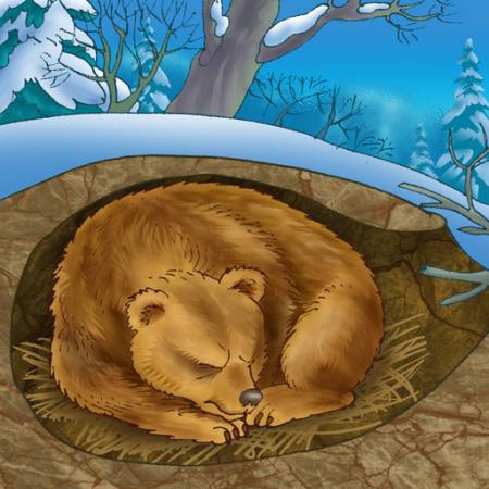 ours, hiver, le sommeil, le froid, la nature Alexander Kukushkin - Dreamstime