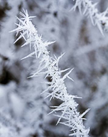 givre, la glace, l'hiver, pic Haraldmuc - Dreamstime