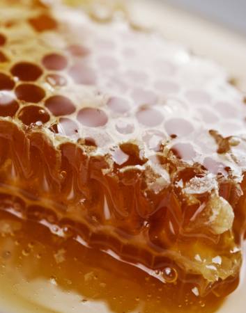 abeille, abeilles, miel Liv Friis-larsen - Dreamstime