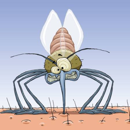 moustiques, les animaux, les cheveux, les mouches, la famille, l'infection, le paludisme Dedmazay - Dreamstime