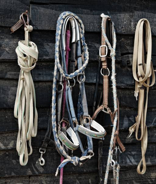 chevaux, des cordes, des cordes, des objets Vladimir Lukovic (Radelukovic)