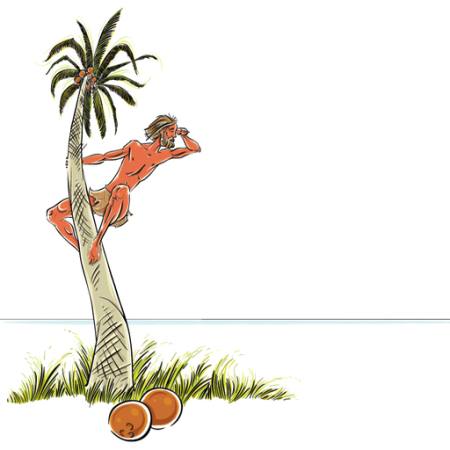 homme, île, brin, noix de coco, palmier, regarder, mer, océan Sylverarts - Dreamstime