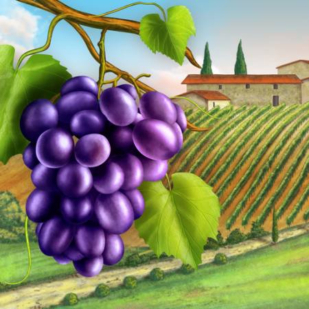 raisins, cour, vert, feuille, vigne, ferme Andreus - Dreamstime