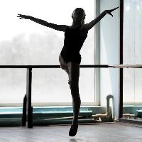 danseur, ballerine, femme, danse Danil Roudenko (Danr13)