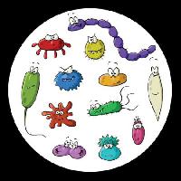 Pixwords L`image avec insectes, microscope, la boue, le virus Dedmazay - Dreamstime