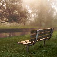 Pixwords L`image avec banc, foret, riviere, l'eau, l'herbe, le brouillard Gary Lewis (Paul_lewis)