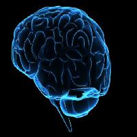 tête, homme, femme, penser, cerveaux Sebastian Kaulitzki - Dreamstime