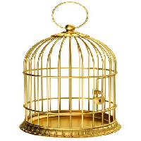 Pixwords L`image avec oiseau, cage, or, serrure Ayvan - Dreamstime