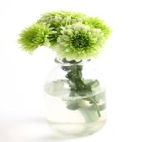 Pixwords L`image avec plante, fleur, vert, eau, tube, vase Kerstin Aust - Dreamstime