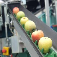 Pixwords L`image avec des pommes, de la nourriture, machine, usine Jevtic