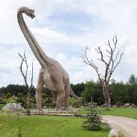 Pixwords L`image avec dinosaure, parc, arbre, arbres, animaux Caesarone