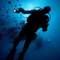 Pixwords L`image avec l'eau l'homme, plongeur, bleu, lumiere, bulles Planctonvideo