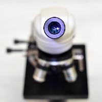 appareil photo, lentille, microscope catiamadio
