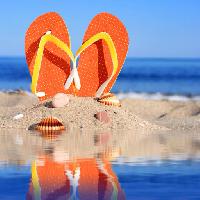 sandales, chaussures, chaussures, plage, coquille, coquilles, l'eau, le sable Fantasista