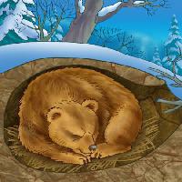 Pixwords L`image avec ours, hiver, le sommeil, le froid, la nature Alexander Kukushkin - Dreamstime