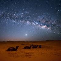 ciel, nuit, , désert, chameaux, étoiles, la lune Valentin Armianu (Asterixvs)