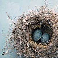 Pixwords L`image avec nid, oeuf, oiseau, bleu, maison, Antaratma Microstock Images © Elena Ray - Dreamstime
