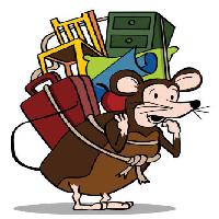 chez le rat, Voyage, dos, chaise, une serviette, un placard, une souris, meubles John Takai - Dreamstime