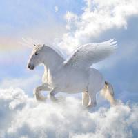 Pixwords L`image avec chevaux, nuages, mouche, ailes Viktoria Makarova - Dreamstime