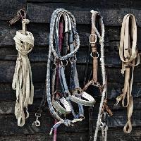 chevaux, des cordes, des cordes, des objets Vladimir Lukovic (Radelukovic)