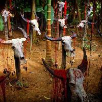 Pixwords L`image avec tête, têtes, crâne, crânes, du sang, des animaux, des arbres Victor Zastol`skiy - Dreamstime