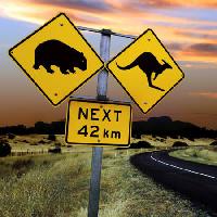 Pixwords L`image avec des signes, ours, cangoroo, à côté, route, Wil Ron Sumners - Dreamstime