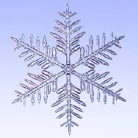 Pixwords L`image avec de la glace, flocon, hiver, neige James Steidl - Dreamstime