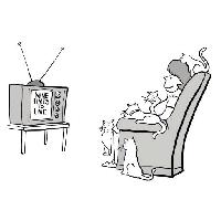 la télévision, les neuf vies, femme, chats Andrewgenn