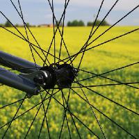 Pixwords L`image avec roue, terre, herbe, champ, vélo, jaune Leonidtit