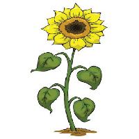 Pixwords L`image avec jaune, grandir, fleur, vert, plante Dedmazay - Dreamstime