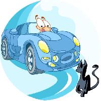 voiture, commande, chat, animal Verzhh