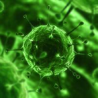 les bactéries, virus, insectes, la maladie, la cellule Sebastian Kaulitzki - Dreamstime